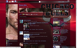 Facebook Skin / Facebook Theme / Facebook Background / facebook layout chicago bulls
