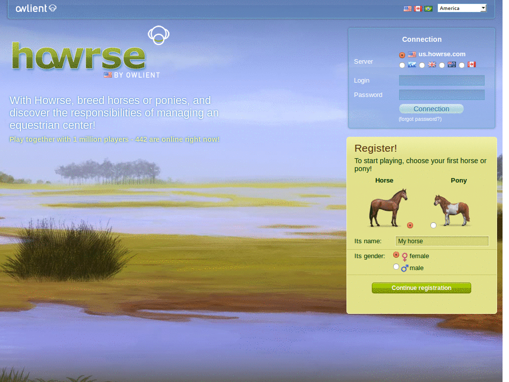 Chincoteague Theme