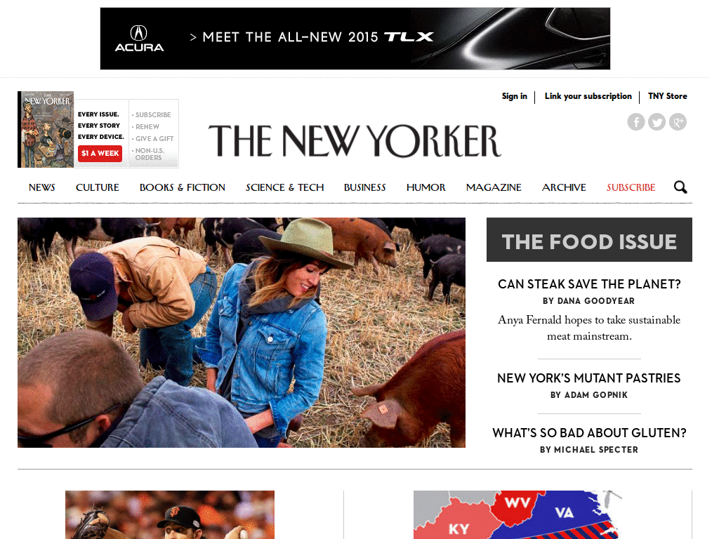 Fat-free New Yorker