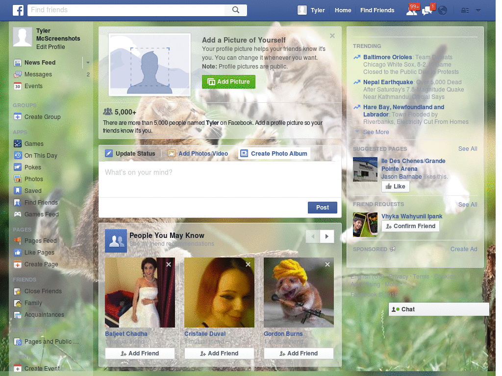 Wallpapers para Facebook - Oso polar - 22