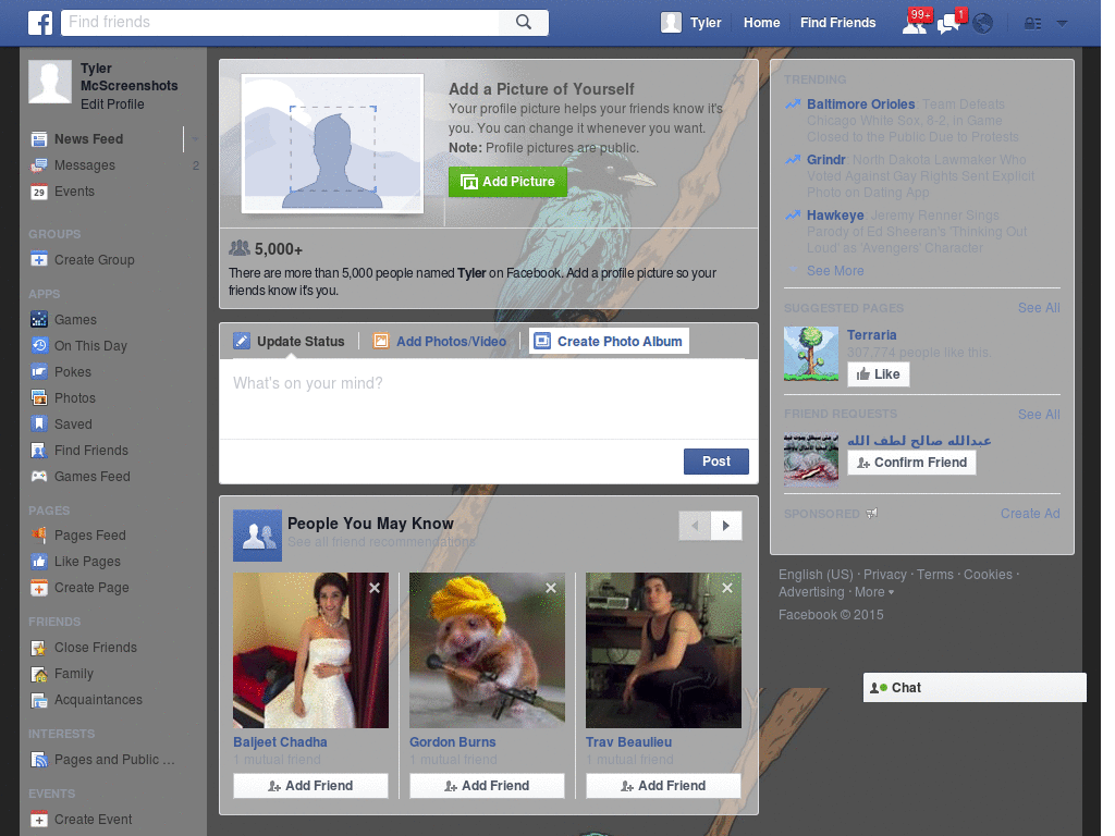 Wallpapers para Facebook - Pajaro - 93