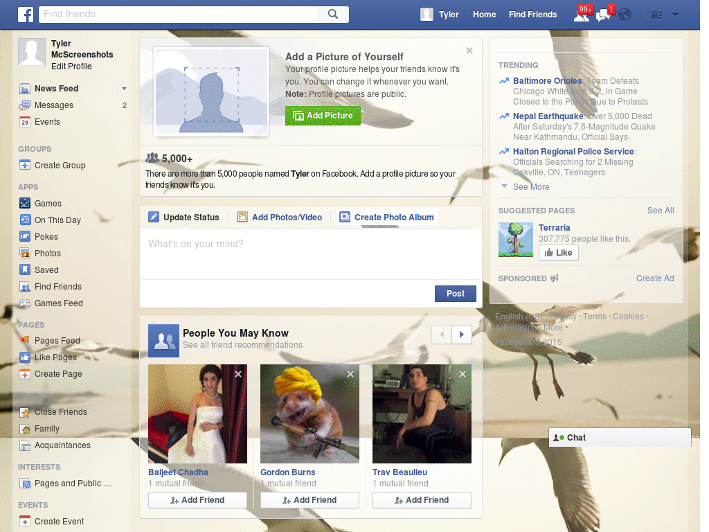 Wallpapers para Facebook - Pajaros - 28