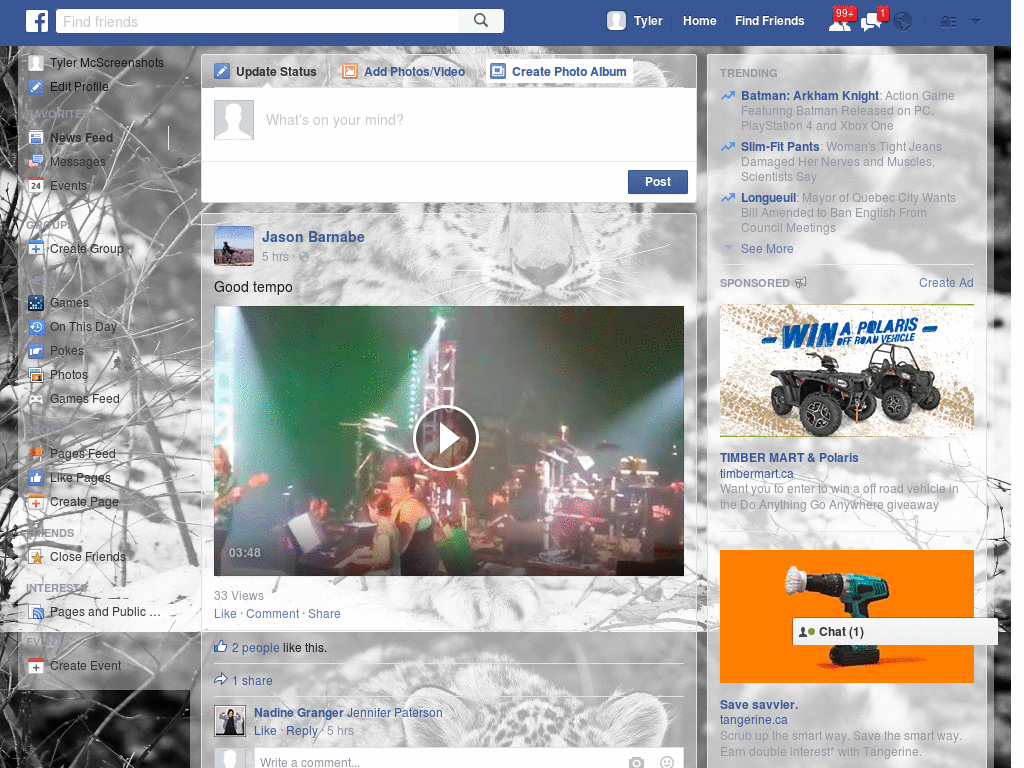 Wallpapers para Facebook - Tigre Gris - 47