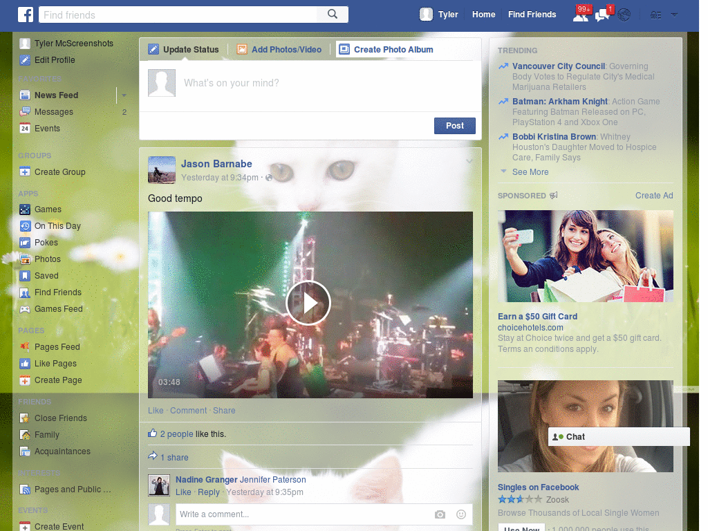 Wallpapers para Facebook - Gato Blanco - 93