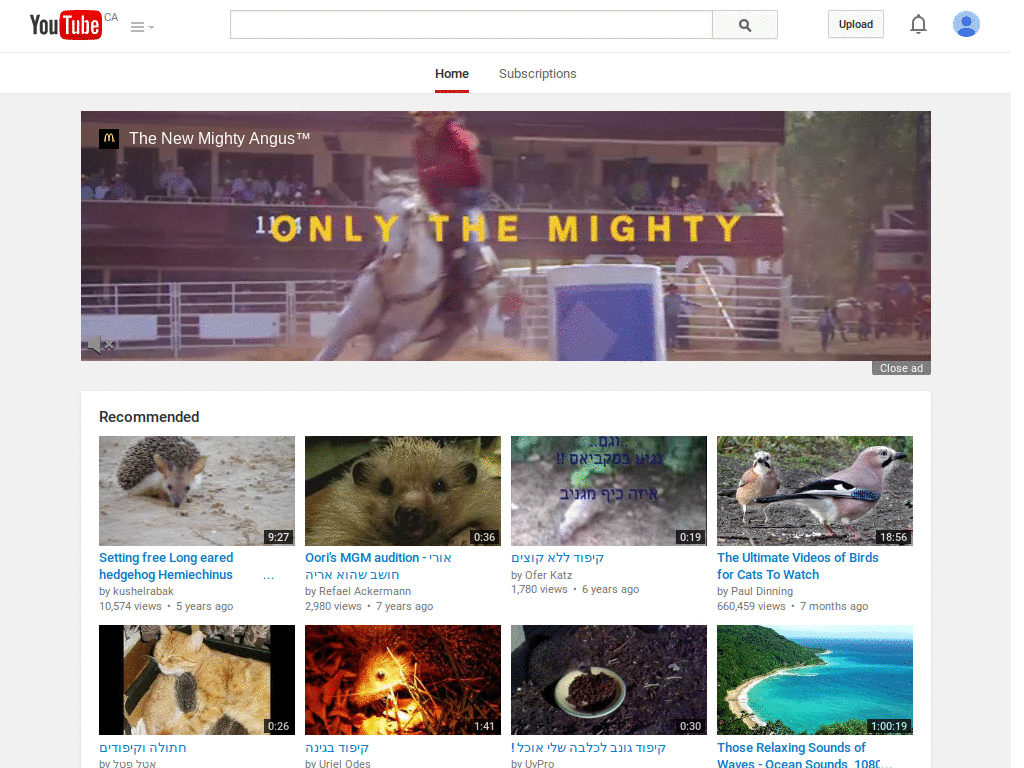 Youtube remove garbage (kodx)