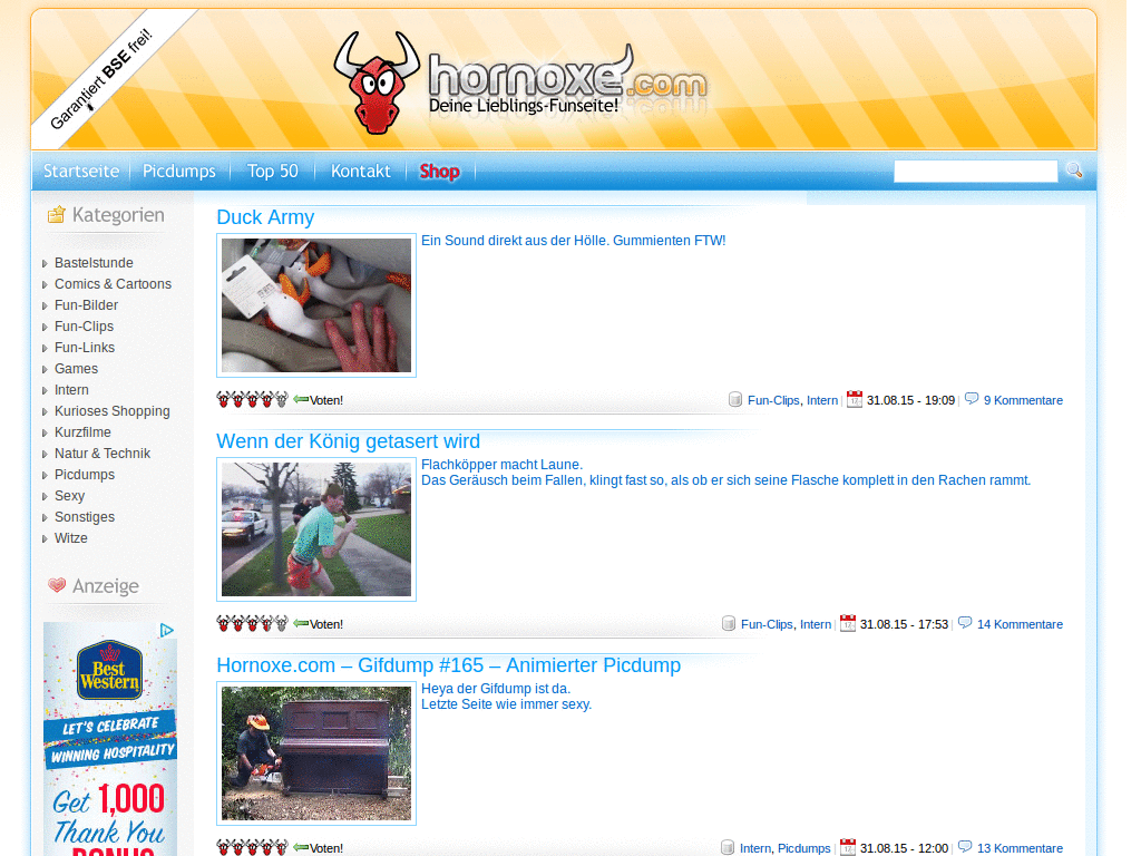 Hornoxe, weniger ist mehr