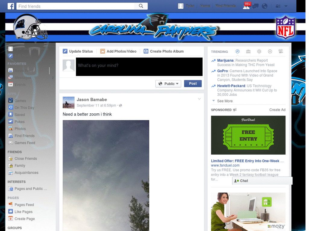 Facebook -NFL- Carolina Panthers (by Templah.com )