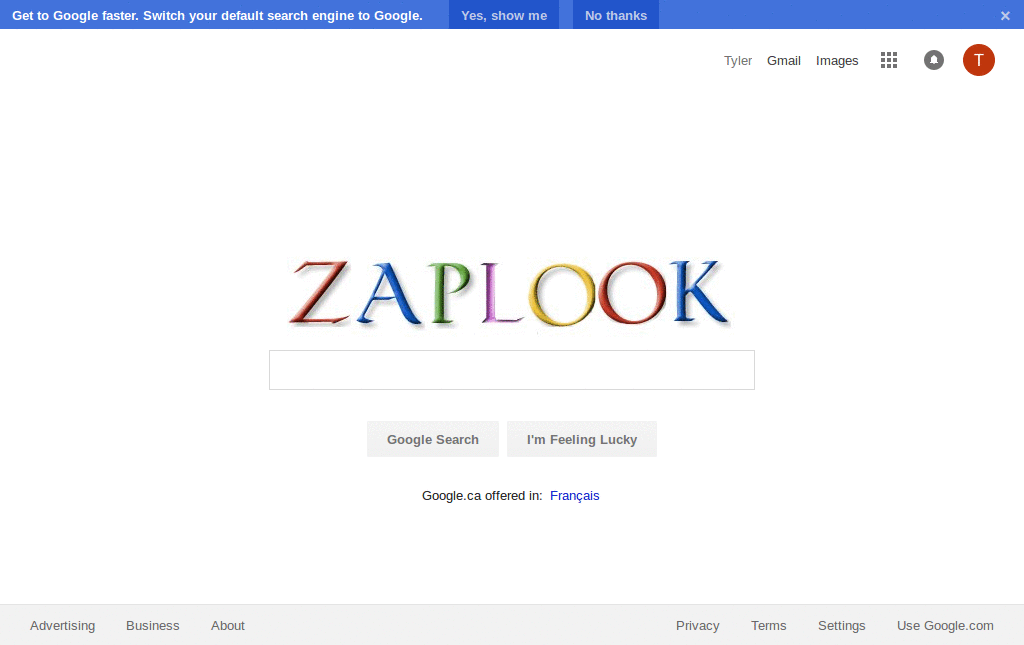 Zaplook logo for Google
