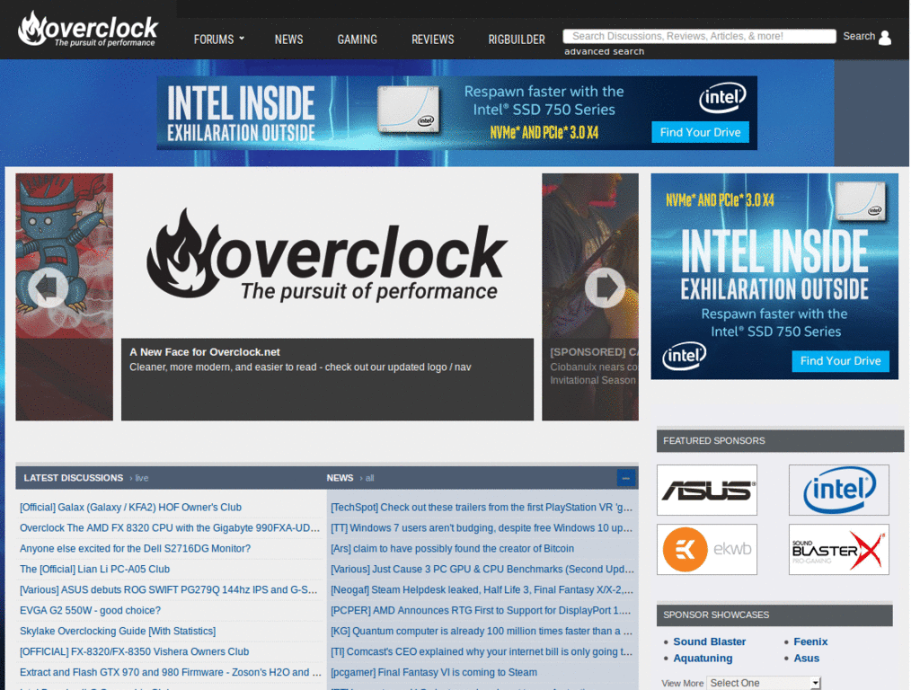 Put the Search Box on the Navbar