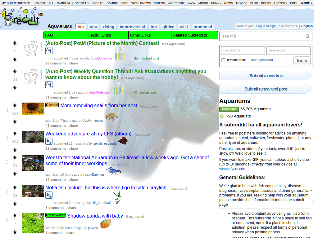 Reddit Aquariums Temp Style