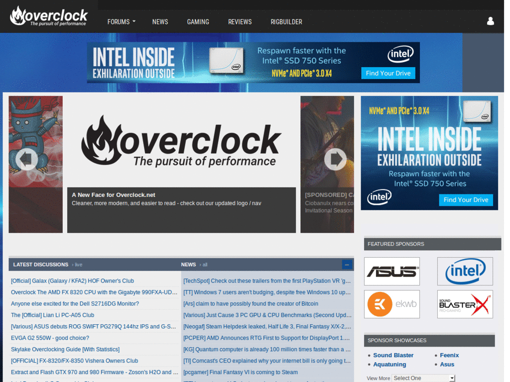 Hide the Navbar's Search Button