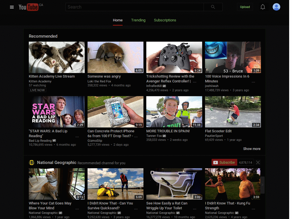 NeonBlackTube