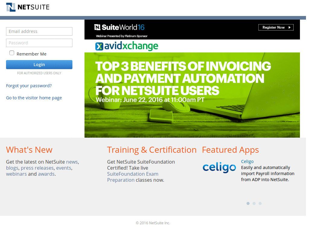 Netsuite - Column lines