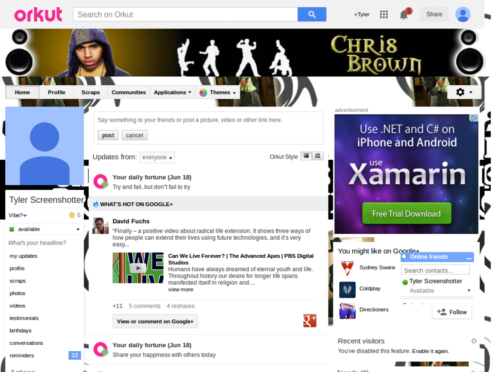 Orkut - Chris Brown 2 ( by Templah.com )
