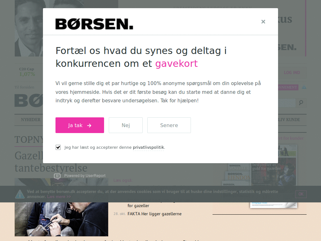 Borsen.dk fix