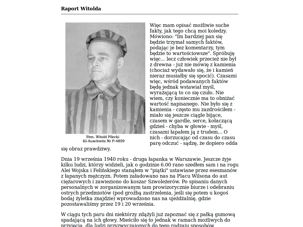Raport Witolda