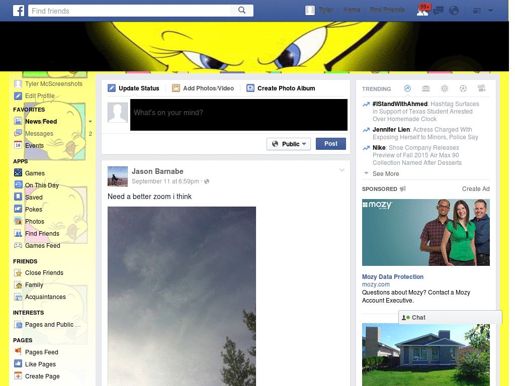 Facebook - Tweety ( by Templah.com )