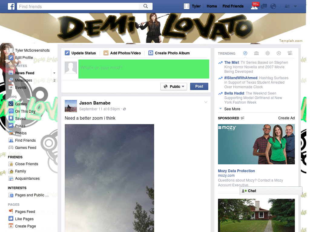 Facebook - Demi Lovato ( by templah.com )