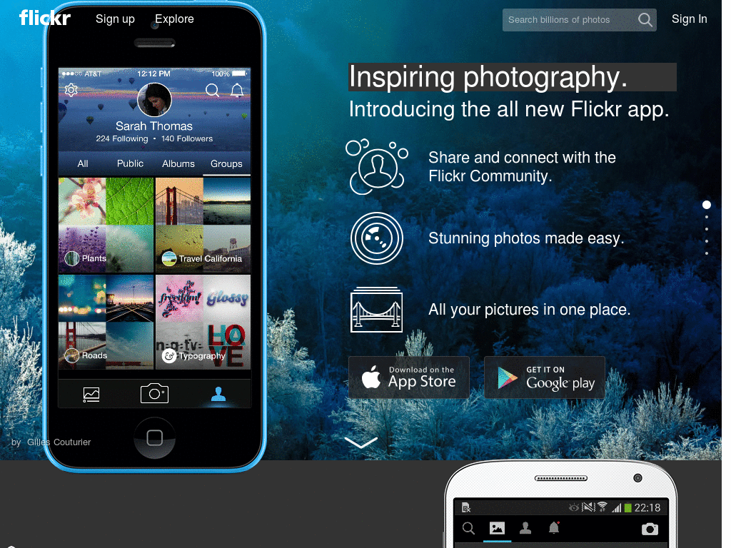 Flickr on gray