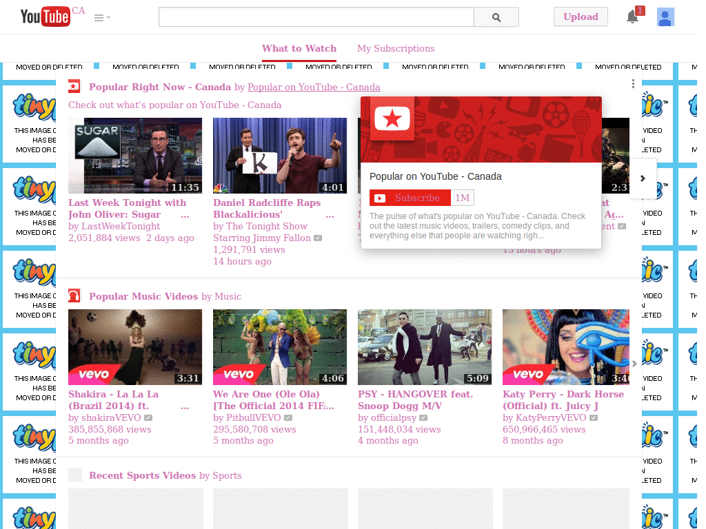 Waynes Wolrd Girly Pink Skin for Youtube