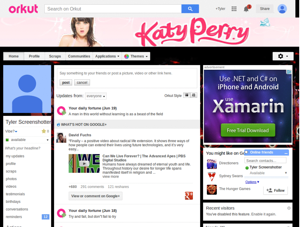 Orkut  - Katy Perry ( by Templah.com )