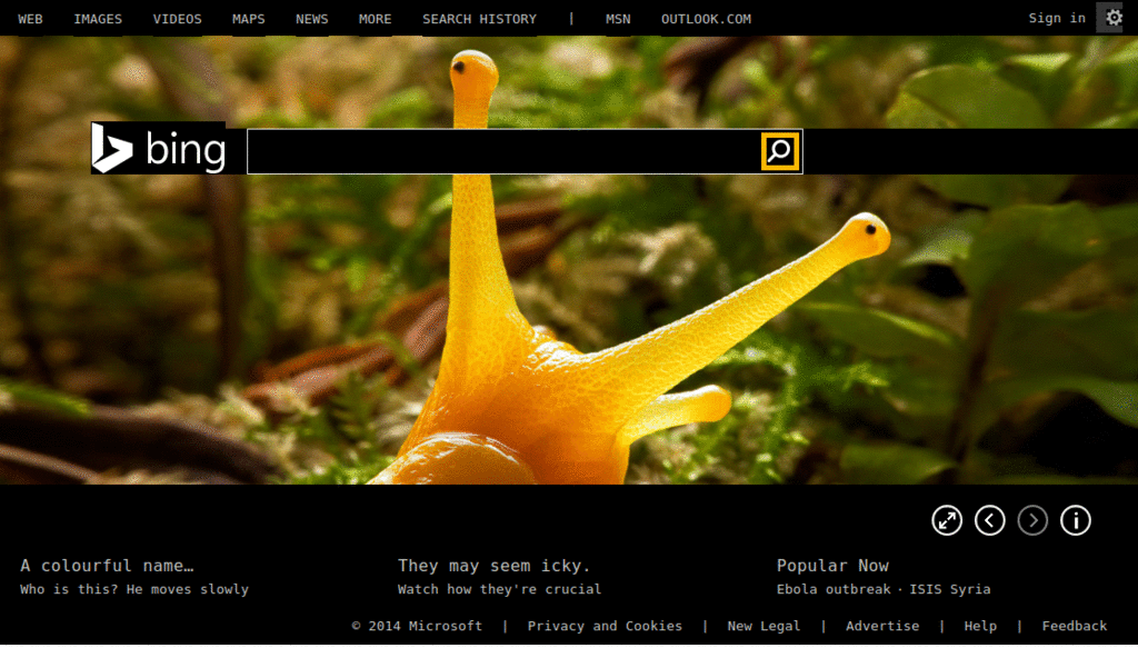 Bing - Command Line