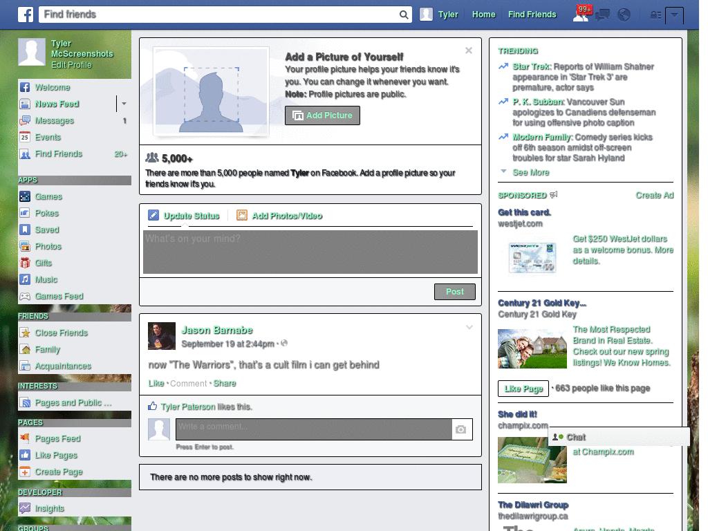 Facebook Theme - Cute Cats