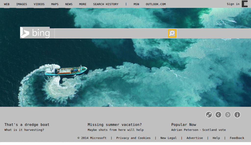 Bing - Command Line (Inverted)