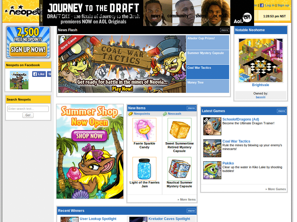 Neopets.com - Remove Ads [New Site Design]