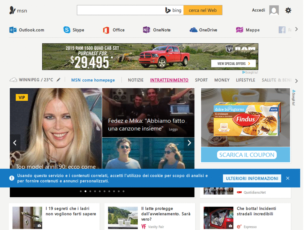 MSN Search International ADS Remover