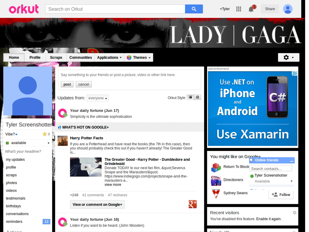 Orkut - Lady Gaga 1 ( by Templah.com )