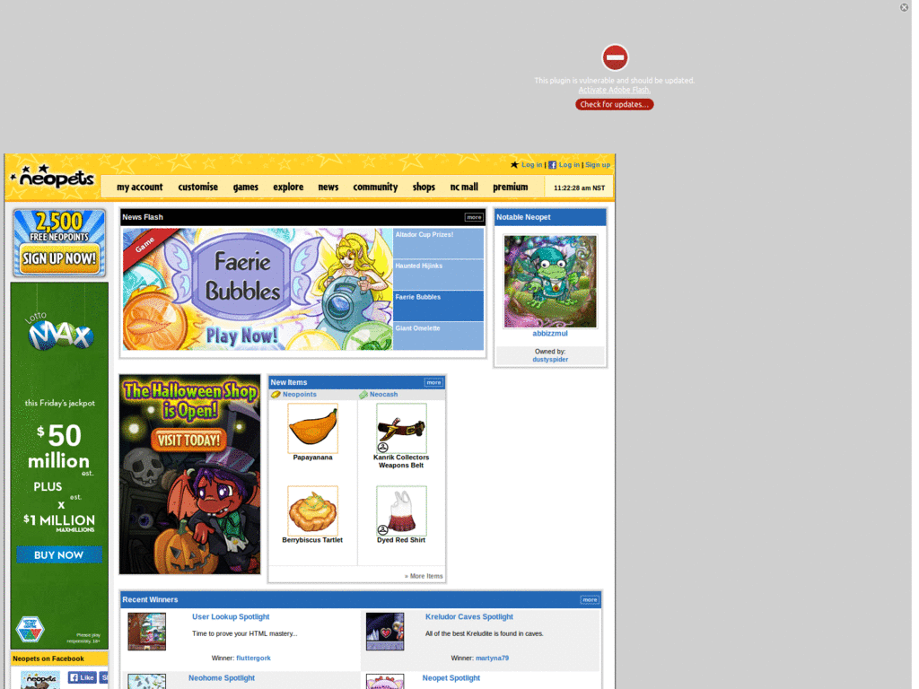 Neopets.com - Remove ads and more