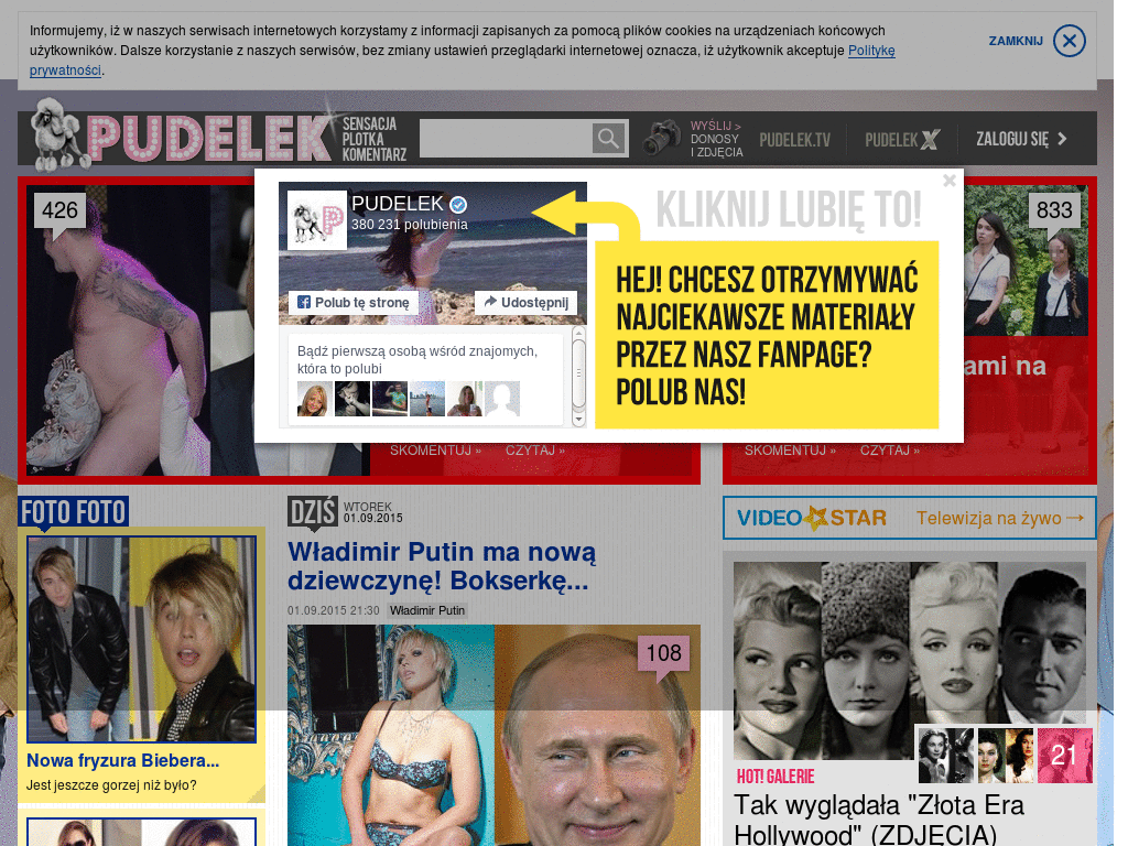 pudelek, bez reklam
