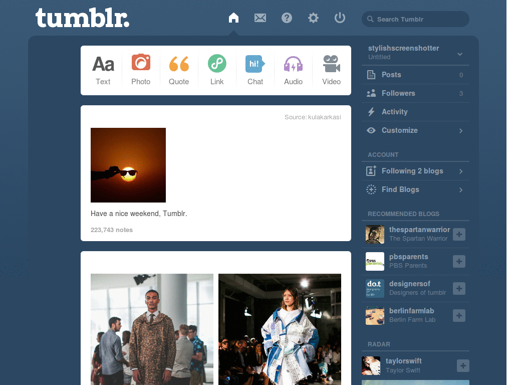 tumblr - Hide text and information
