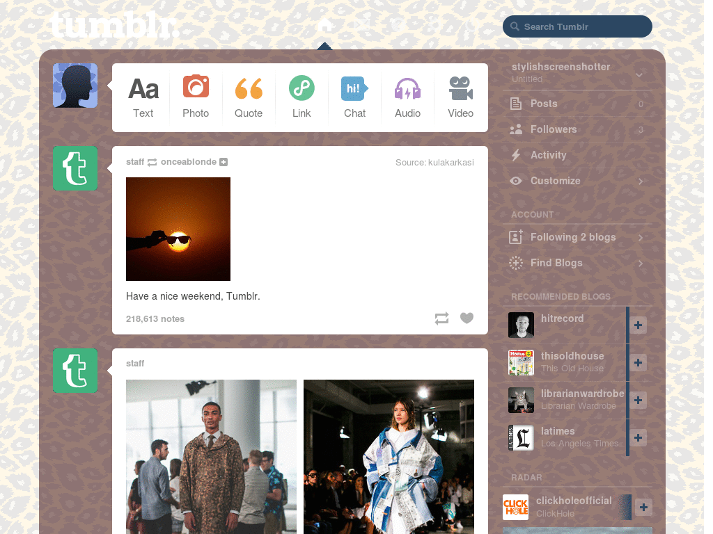 Tumblr - Cheetah