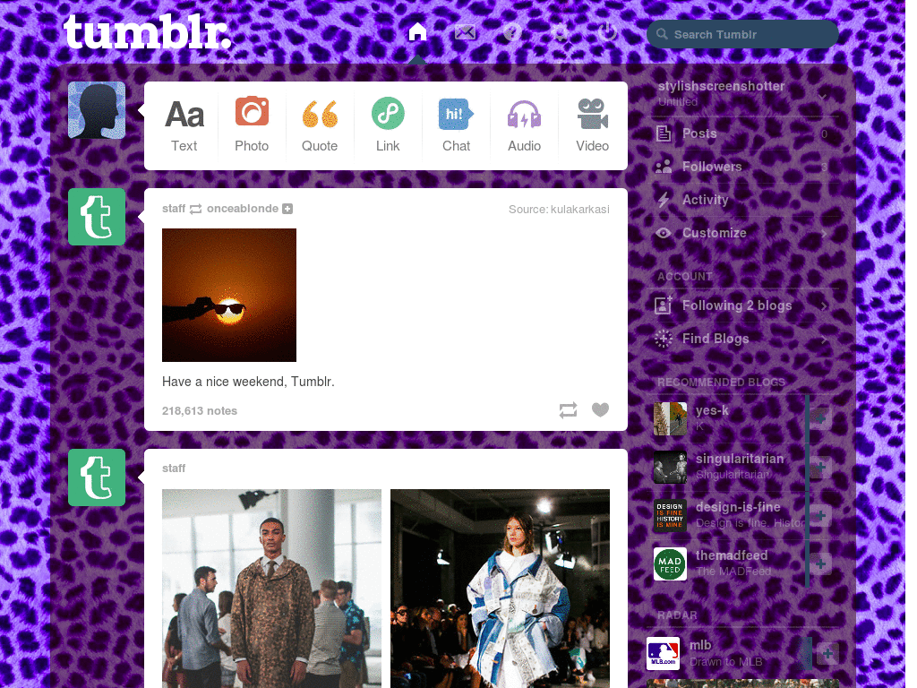 Tumblr - Purple Cheetah