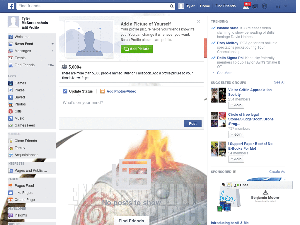 How To Train Your Dragon Facebook Skin (242)