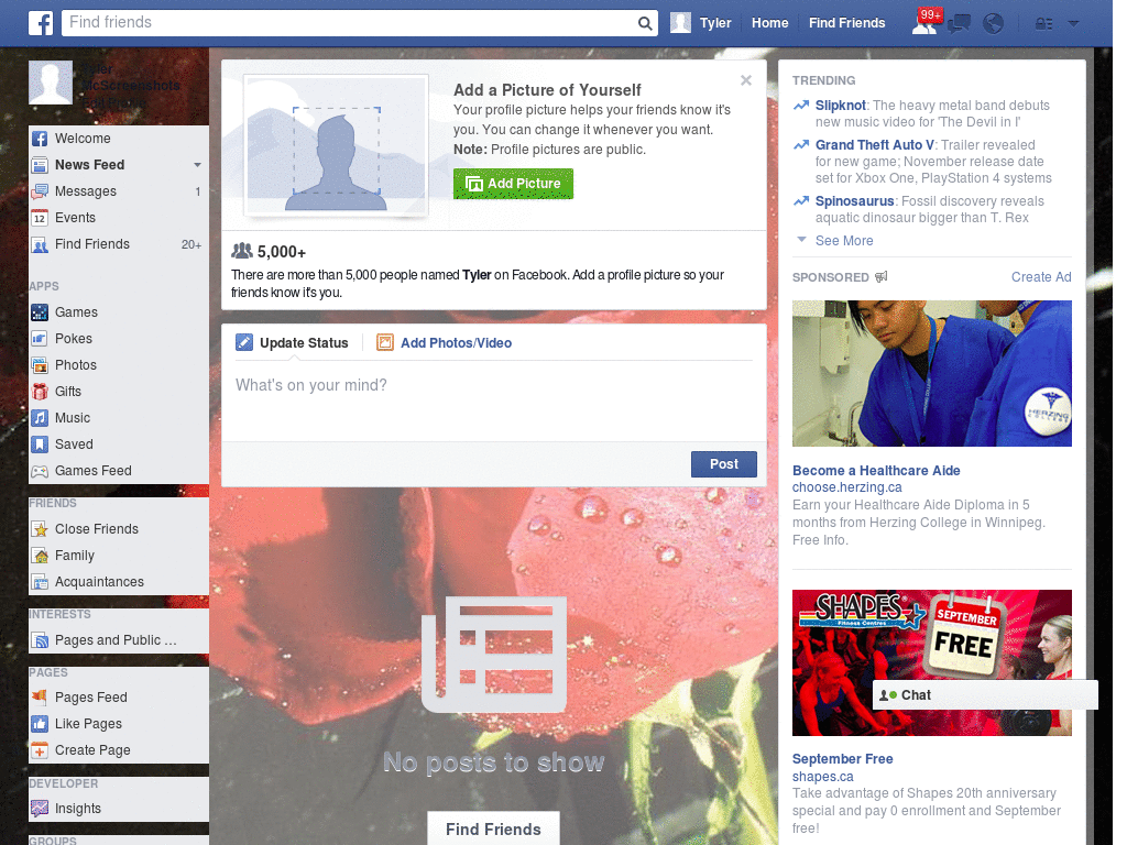 Extraordinary Facebook Layout (11070)