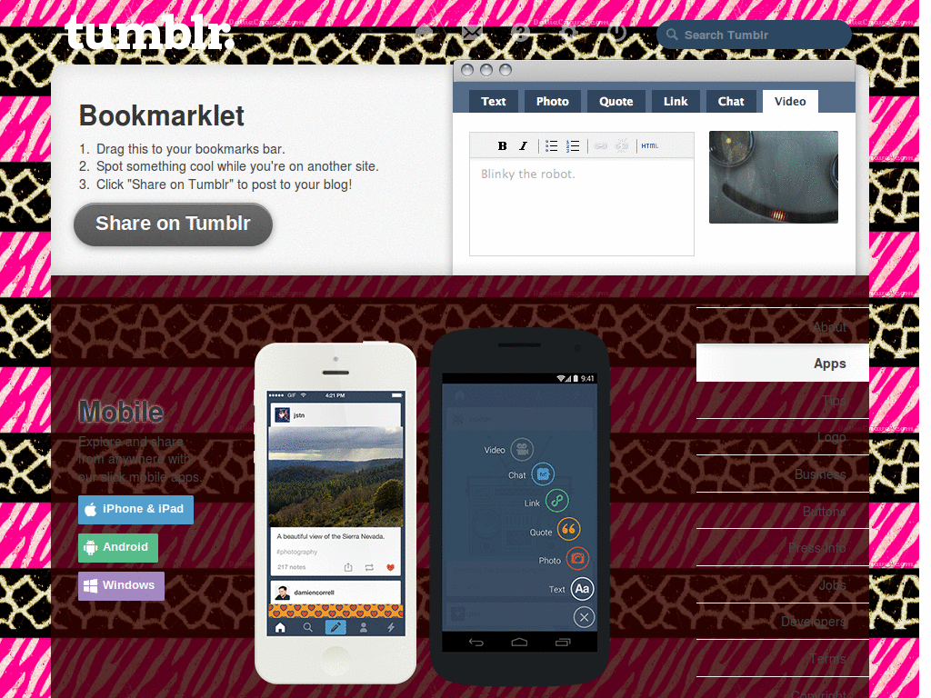 TUMBLR - ZEBRA PRINT PINK W/ GIRAFFE PRINT