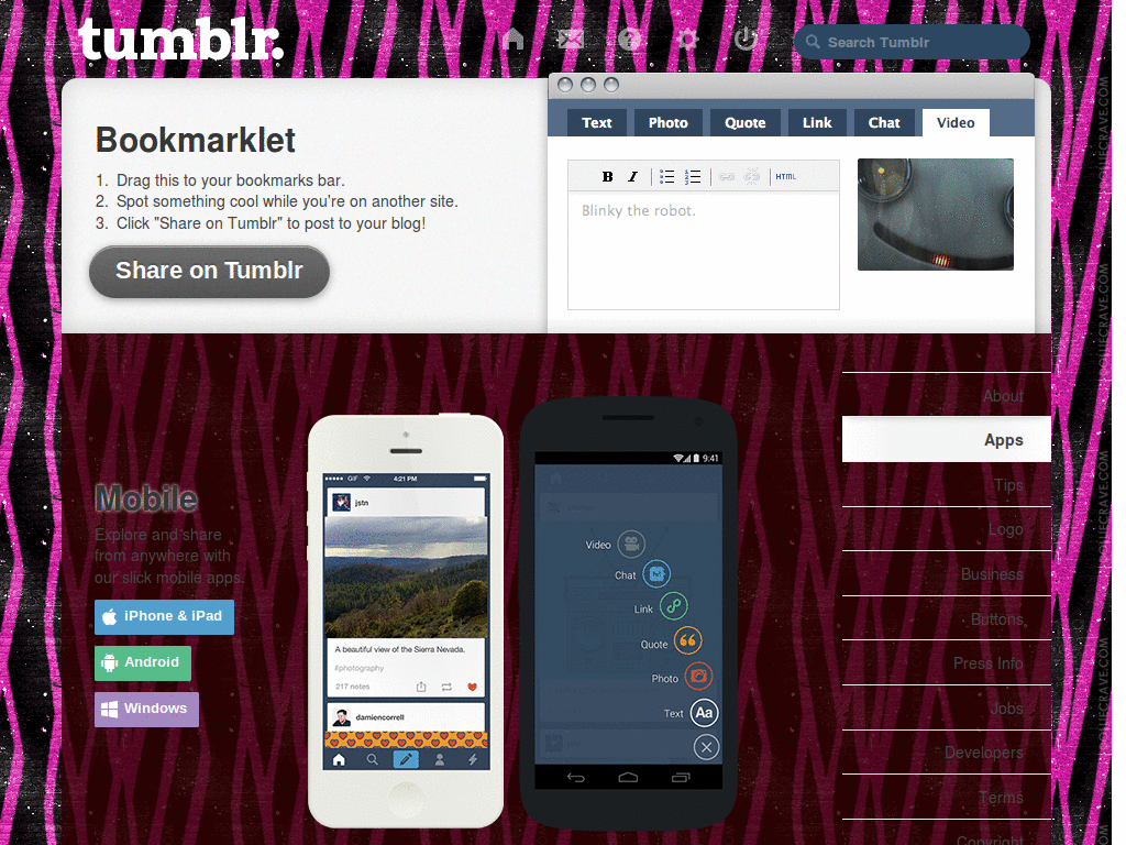 TUMBLR - PURPLE ZEBRA  BACKGROUND