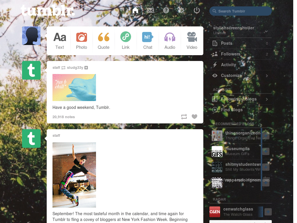 tumblr dashboard - the woodland feel