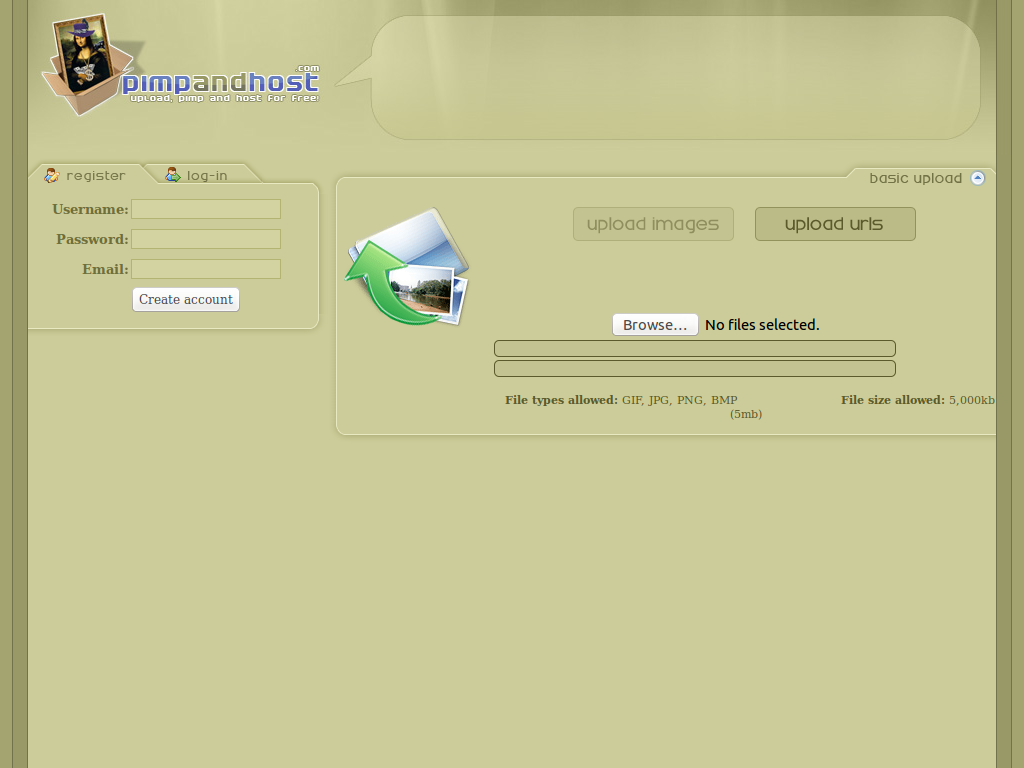 Clear Up Pimpandhost