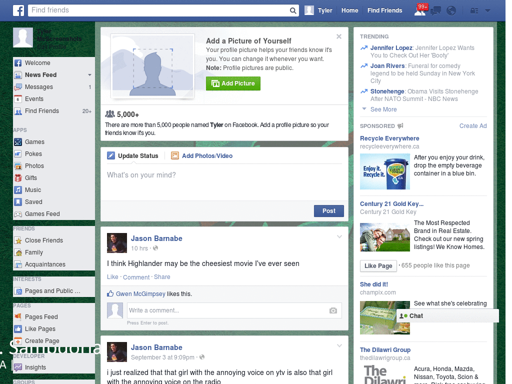 Beautiful Facebook Skin (460)