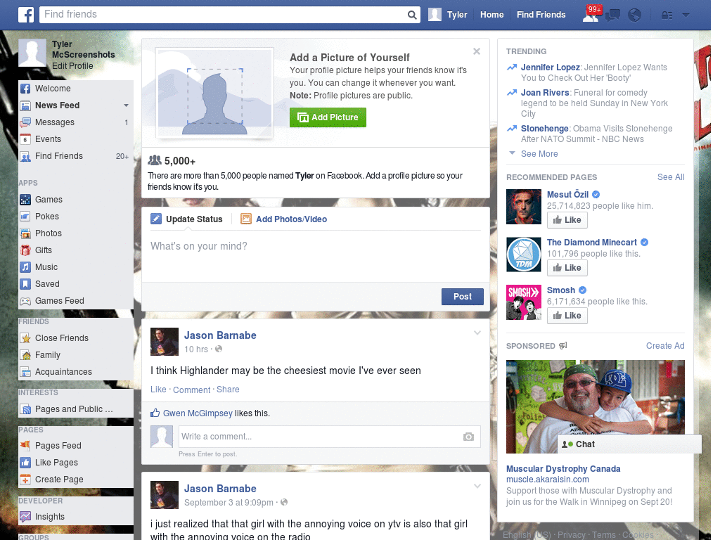 Beautiful Facebook Skin (500)
