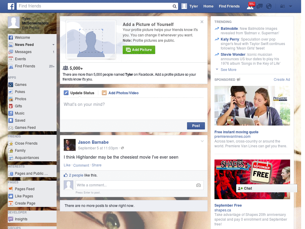 Nice Facebook Skin (881)