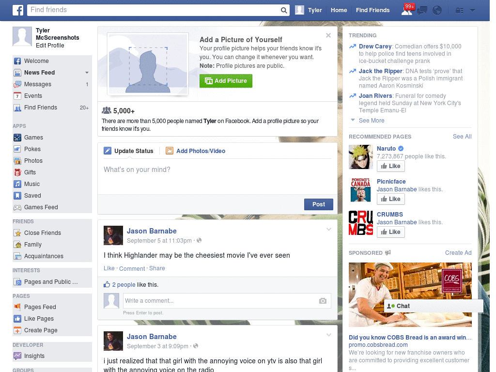 Simple Facebook Skin (1051)
