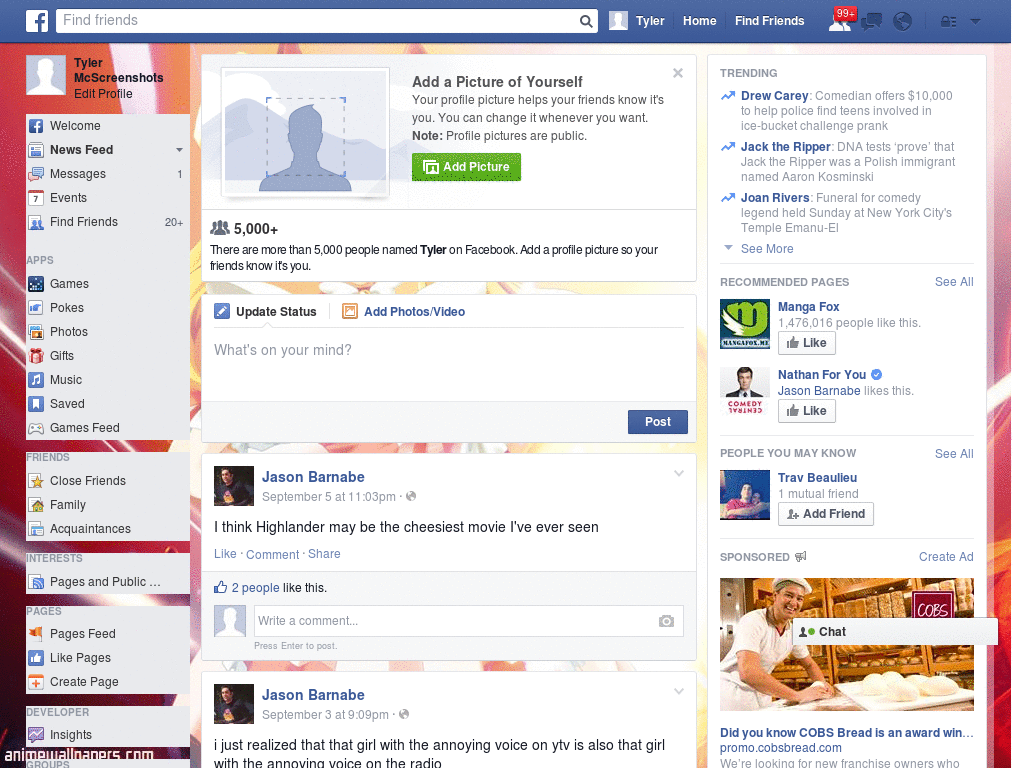 Hack Facebook Skin (1060)