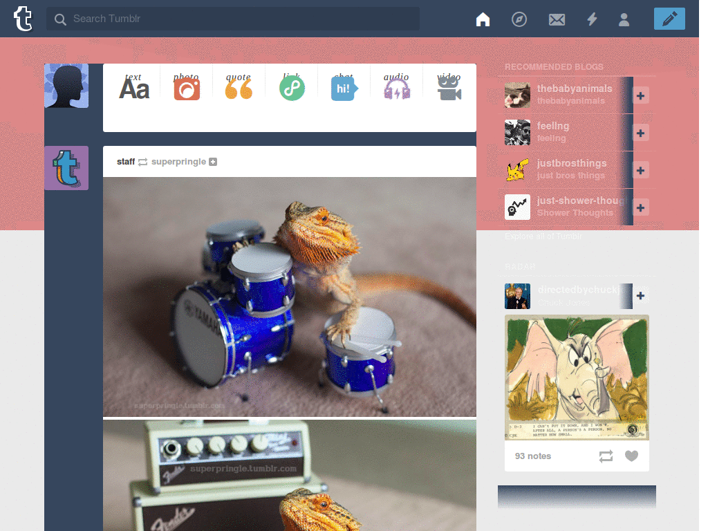 Pokemon Tumblr dash w/ icons and background.