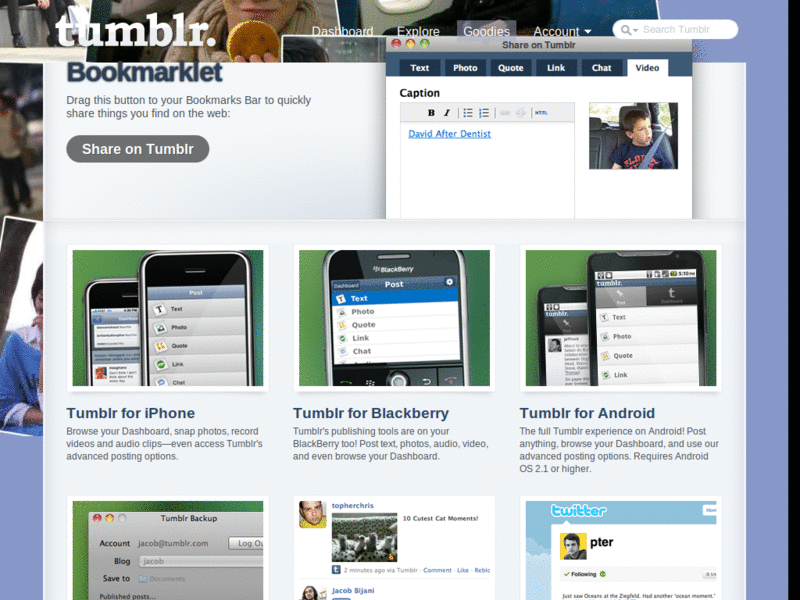 You're Beautiful Tumblr Dash Theme