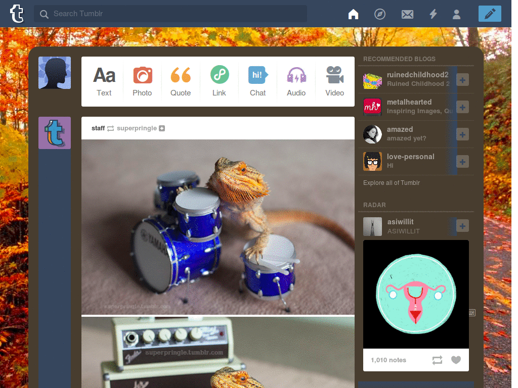 Tumblr Fall